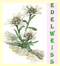 Logo EDELWEISS