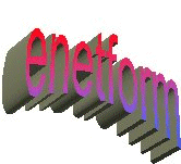 Logo Netform 2